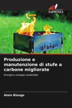 Produzione e manutenzione di stufe a carbone migliorate - BIONGO, Alain