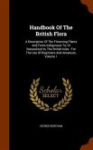 Handbook Of The British Flora