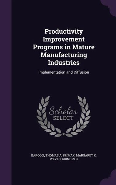 Productivity Improvement Programs in Mature Manufacturing Industries Productivity Improvement Programs in Mature Manufacturing Industries