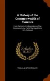 A History of the Commonwealth of Florence: From the Earliest Independence of the Commune to the Fall of the Republic in 1531, Volume 4