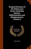 Surgical Diseases of the Kidney and Ureter Including Injuries, Malformations and Misplacements Volume 2