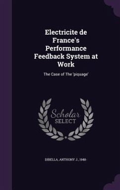 Electricite de France's Performance Feedback System at Work: The Case of The 'piquage' - Dibella, Anthony J.