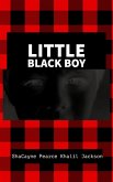 Little Black Boy (eBook, ePUB)