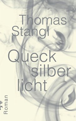 Quecksilberlicht (eBook, ePUB) - Stangl, Thomas