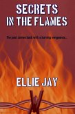Secrets In The Flames (The Secrets Series, #3) (eBook, ePUB)