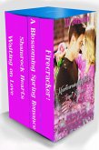 Heartwarming Holidays Sweet Romance Books 4-7 (eBook, ePUB)