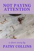 Not Paying Attention (eBook, ePUB)