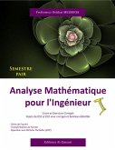 Analyse Mathématique pour l'ingénieur (eBook, ePUB) Analyse Mathématique pour l'ingénieur (eBook, ePUB)
