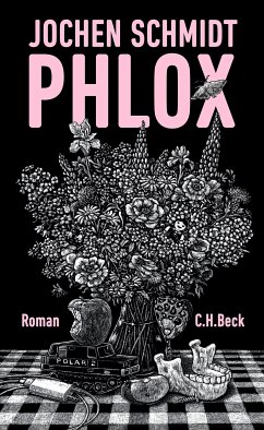 Phlox (eBook, ePUB) - Schmidt, Jochen