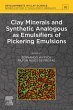 Clay Minerals and Synthetic Analogous... - Bild 1