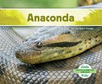 Anaconda