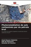 Phytoremédiation de sols contaminés par du pétrole brut