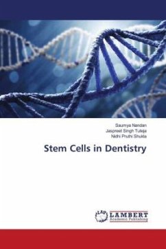 Stem Cells in Dentistry