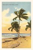 Vintage Journal Palm Trees, Miami Beach, Florida