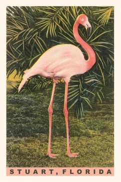 Vintage Journal Flamingo, Stuart, Florida
