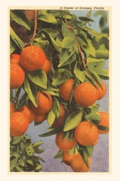Vintage Journal Oranges, Florida