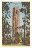 Vintage Journal Singing Tower, Mountain Lake Sanctuary