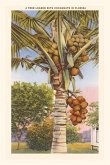 Vintage Journal Coconut Palm