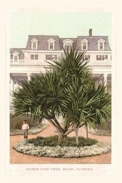 Vintage Journal Screw Pine Tree, Miami, Florida