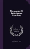 The Anatomy Of Ophioglossum Pendulum