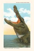 Vintage Journal Gaping Alligator, Myakka State Park, Florida