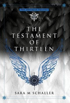 The Testament of Thirteen - Schaller, Sara M