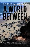 A World Between A World Between