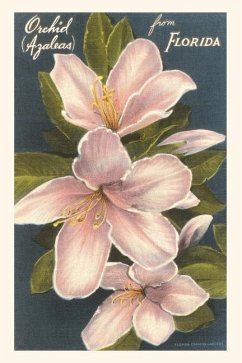 Cover Vintage Journal Orchid Azaleas, Florida
