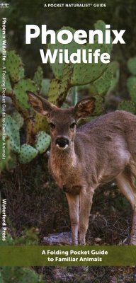 Phoenix Wildlife - Waterford Press