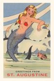 Vintage Journal St. Augustine Mermaid