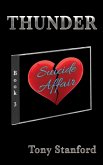 Suicide Affair - Book Three