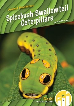 Spicebush Swallowtail Caterpillars - Murray, Julie