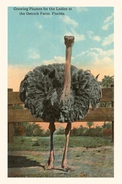 Cover Vintage Journal Ostrich, Florida