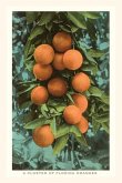 Vintage Journal Florida Oranges