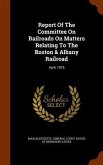 Report Of The Committee On Railroads On Matters Relating To The Boston & Albany Railroad