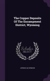 The Copper Deposits Of The Encampment District, Wyoming