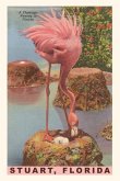 Vintage Journal Flamingo Nesting in Stuart, Florida
