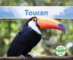 Toucan