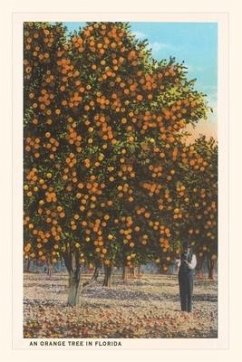 Cover Vintage Journal Orange Trees