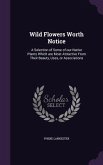 Wild Flowers Worth Notice: A Selection of Some of our Native Plants Which are Most Attractive From Their Beauty, Uses, or Associations