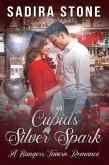 Cupid's Silver Spark (Bangers Tavern Romance, #0) (eBook, ePUB)
