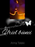 Uriel bûnei (eBook, ePUB)