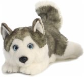 Aurora 26263 - MiYoni Husky Lying, liegend, Plüschtier 28 cm