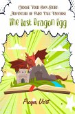 Choose your Own Story: Adventure of Fairy Tale Universe #1:The Lost Dragon Egg (eBook, ePUB)