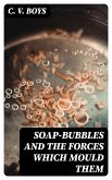 Soap-Bubbles and the Forces Which Mould Them (eBook, ePUB)