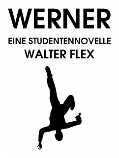 Werner (eBook, ePUB) - Flex, Walter
