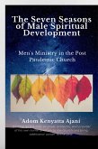 The Seven Seasons of Male Spiritual Development: Men's Ministry in the Post-Pandemic Church (eBook, ePUB)