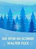 Die Spur im Schnee (eBook, ePUB)