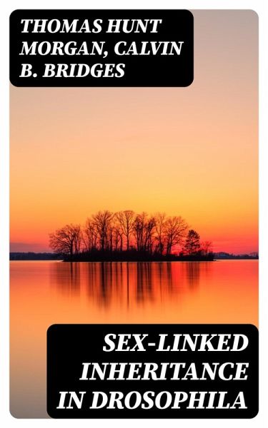 Sex-linked Inheritance in Drosophila (eBook, ePUB) Sex-linked Inheritance in Drosophila (eBook, ePUB)