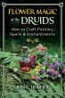 Flower Magic of the Druids (eBook, ePUB) - Bild 1